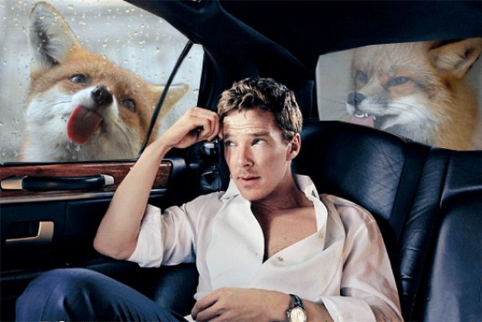 Benedict Cumberbatch Gets The Meme Treatment (13 pics)