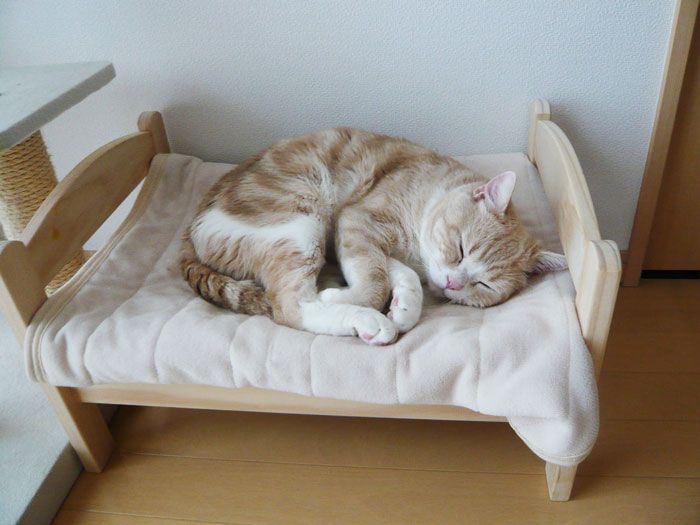 A Great Use For IKEA Doll Beds (15 pics)
