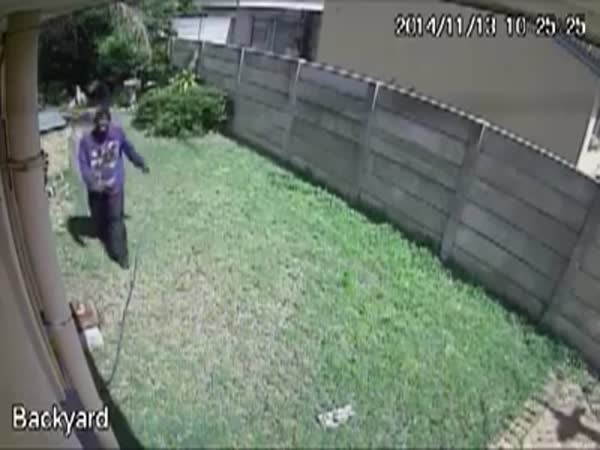 Burglar Scared By A Very Dangerous Guard Dog