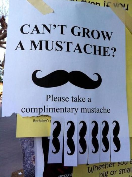 The Most Ridiculous But Awesome Flyers Ever Posted (42 pics)