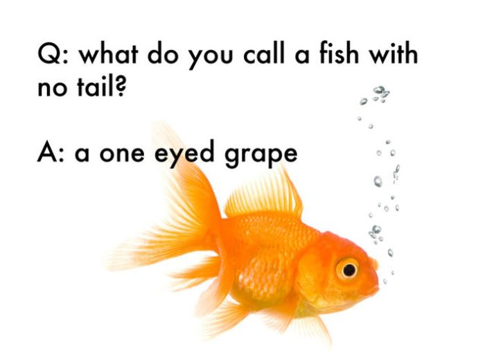 Funny Jokes That Were Made Up by Kids (25 pics)