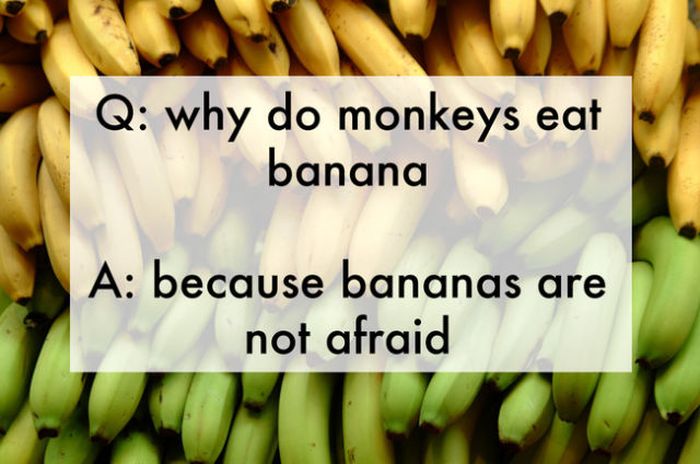 Funny Jokes That Were Made Up by Kids (25 pics)