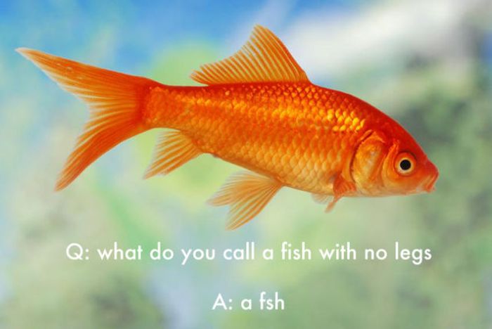 Funny Jokes That Were Made Up by Kids (25 pics)