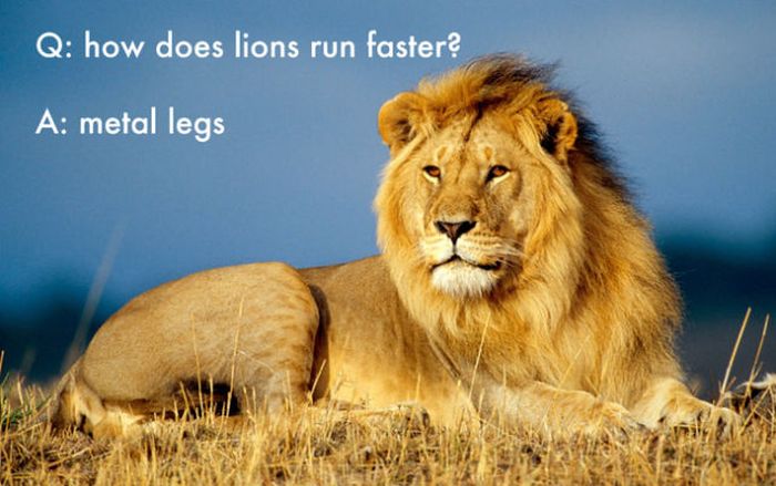 Funny Jokes That Were Made Up by Kids (25 pics)