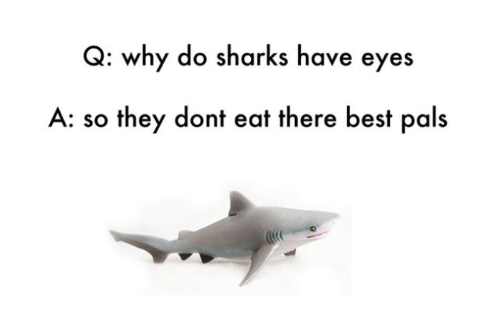 Funny Jokes That Were Made Up by Kids (25 pics)