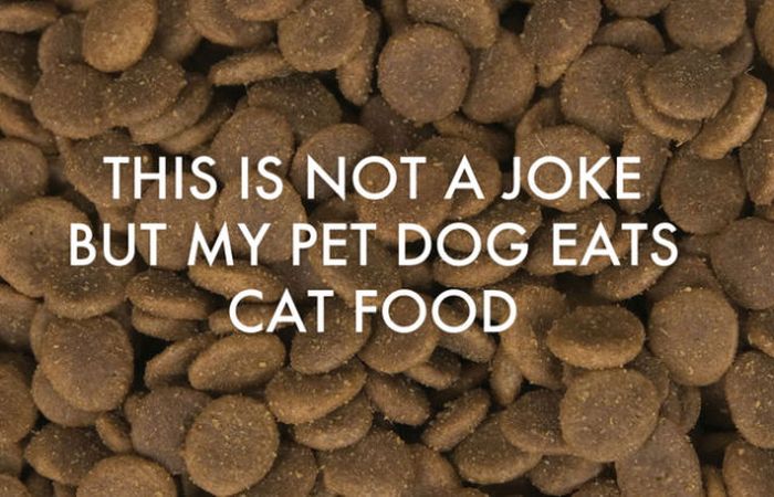 Funny Jokes That Were Made Up by Kids (25 pics)