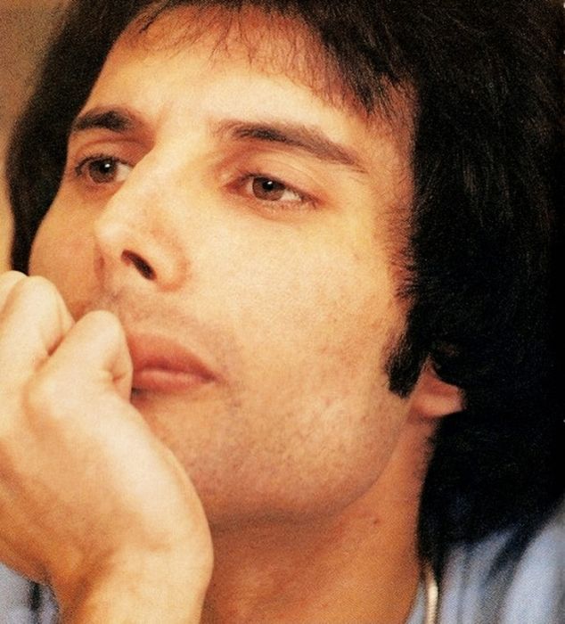 A Tribute To Freddie Mercury (44 pics)
