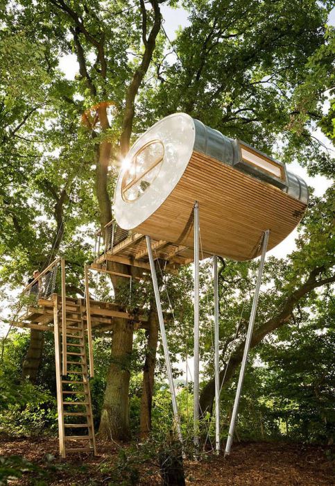 This Modern Tree House Is Simple But Awesome (8 pics)