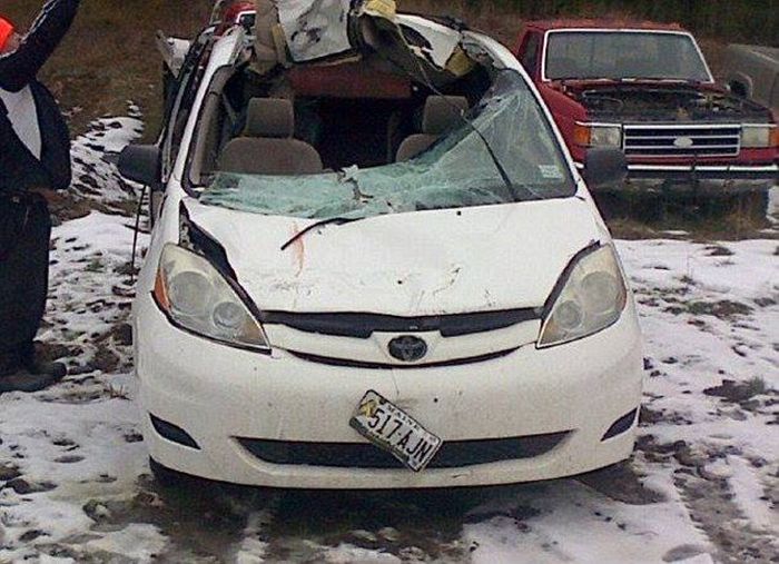 Man Survives Intense Moose Crash (6 pics)