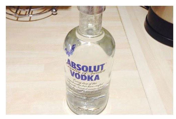 The Perfect Way To Smuggle Vodka (6 pics)