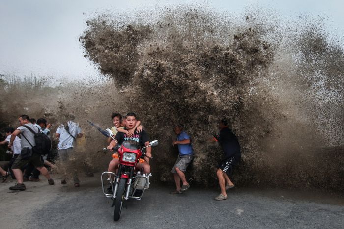 Some Of The Most Amazing News Photos Of 2014 (74 pics)