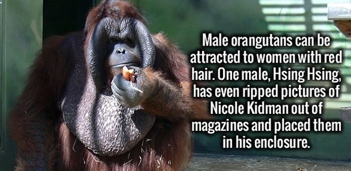 The Most Fun Facts You're Going To Learn Today (35 pics)