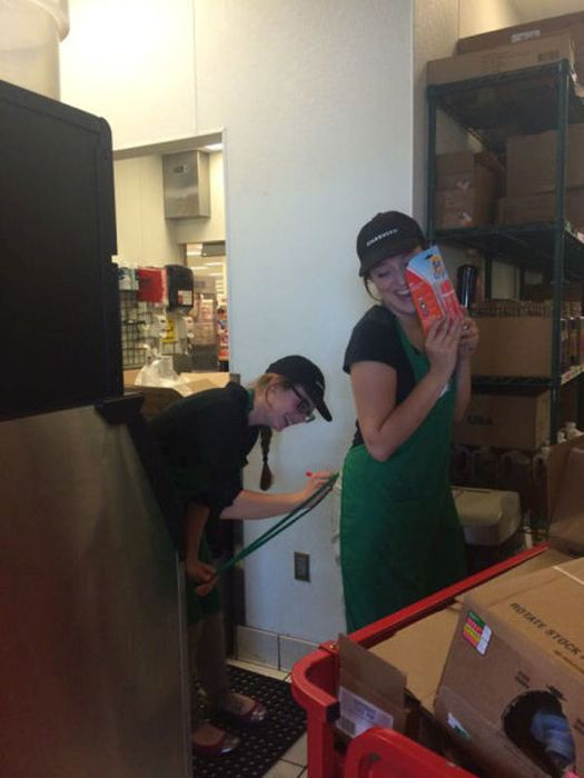 When It Comes To Work We All Have Days Like This (55 pics)