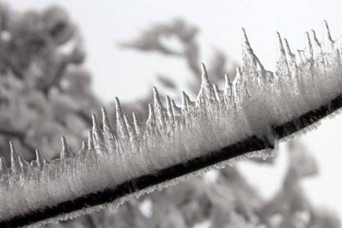 Freezing Fog Is Not Something To Mess With (6 pics)