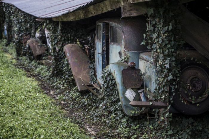 This Place Is A Graveyard For Vintage Cars (21 pics)