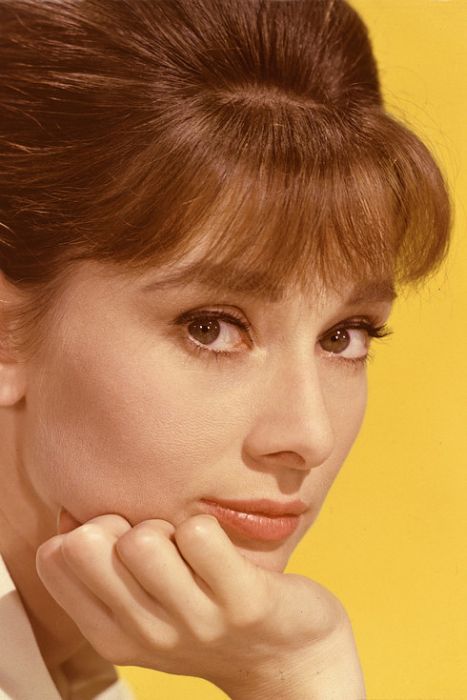 To This Day Audrey Hepburn Is Still A Style Icon (19 pics)