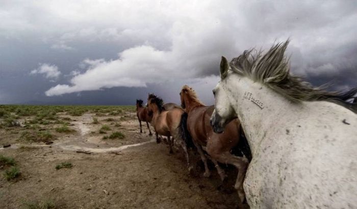 Pictures That You Could Only Get With A GoPro (40 pics)