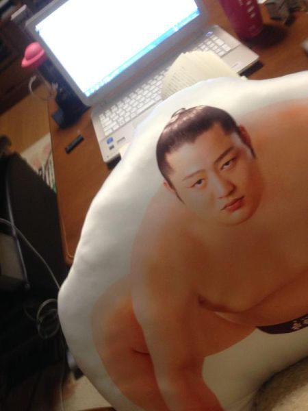 You Can Now Own A Pillow With A Sumo Wrestler's Butt On It (12 pics)