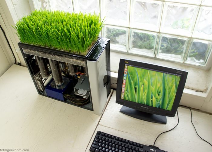 This Working Computer Also Grows Grass (20 pics)