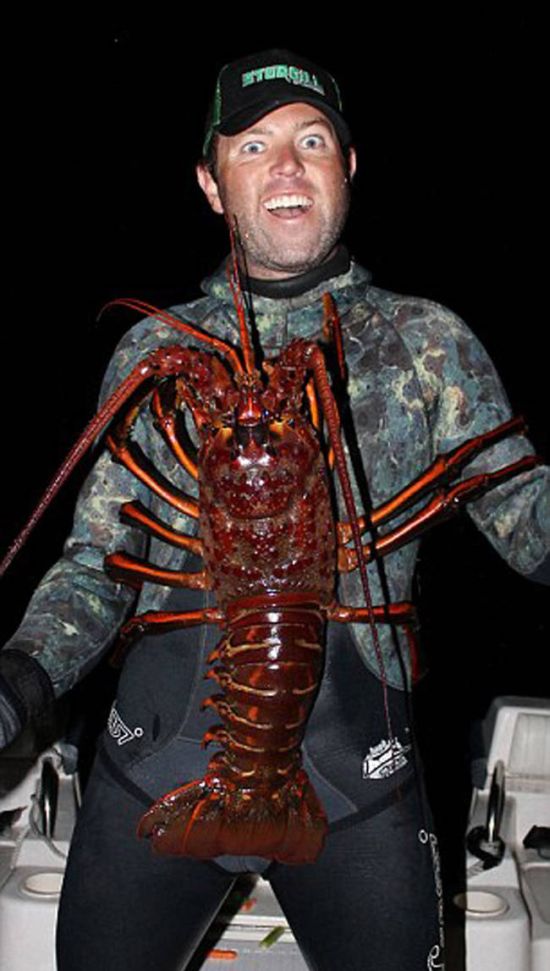This Man Found A Giant Lobster Off The Coast Of California (6 pics)