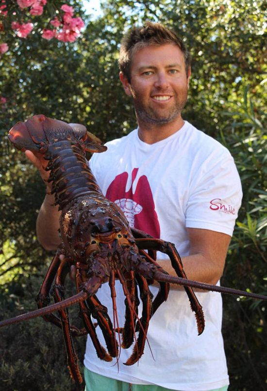 This Man Found A Giant Lobster Off The Coast Of California (6 pics)