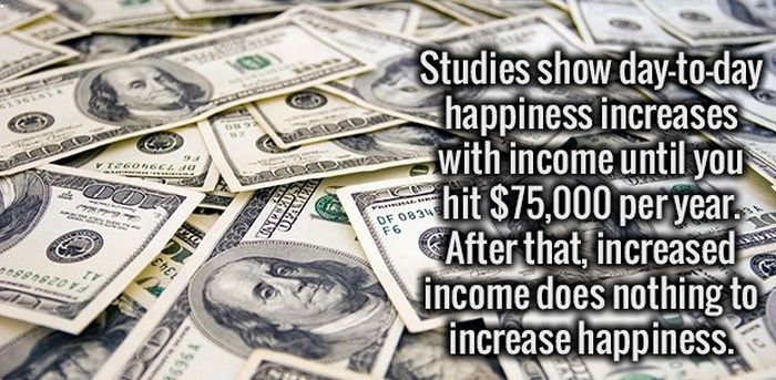 Give Your Brain A Good Workout With These Interesting Facts (34 pics)