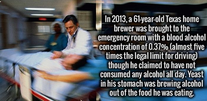 Give Your Brain A Good Workout With These Interesting Facts (34 pics)