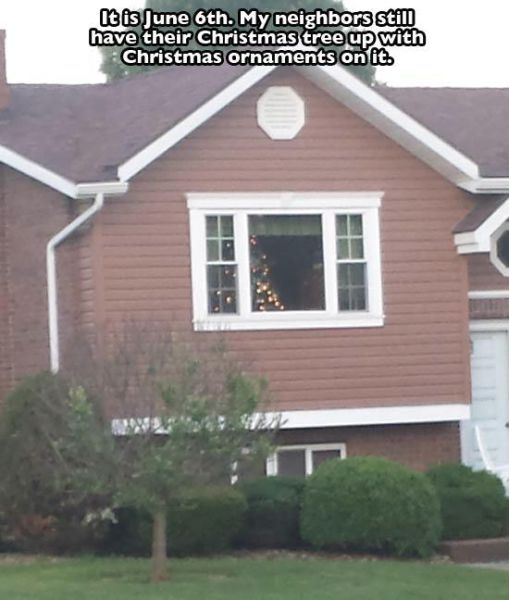 These People Are Definitely Taking Christmas Cheer Way Too Far (45 pics)