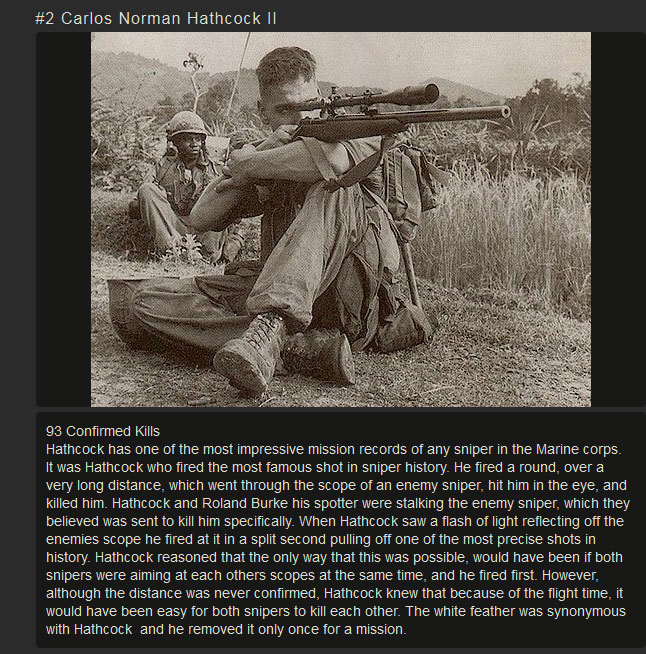 These Are The 10 Deadliest Snipers In History (10 pics)