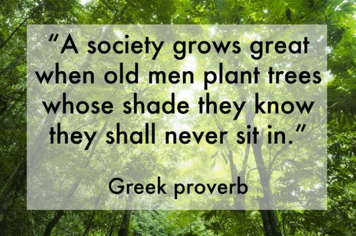 Inspiring Quotes That Could Change Your Day (30 pics)