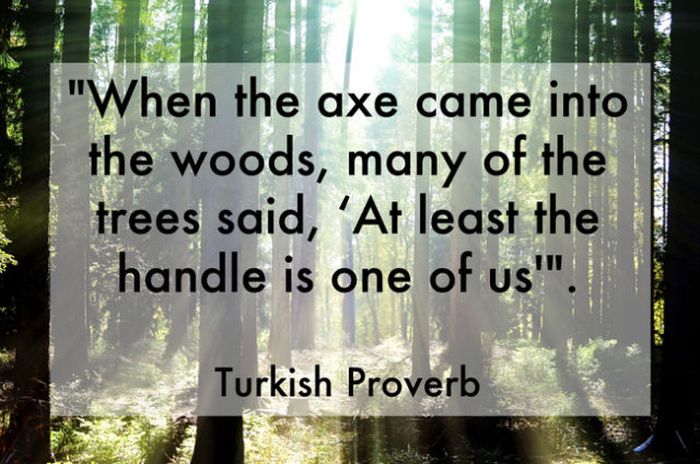 Inspiring Quotes That Could Change Your Day (30 pics)