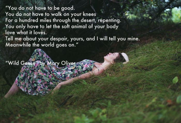 Inspiring Quotes That Could Change Your Day (30 pics)