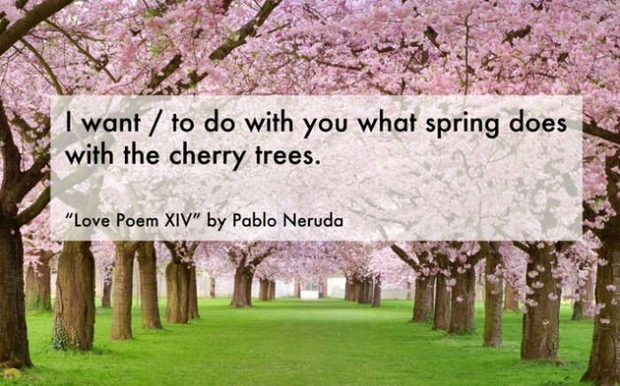 Inspiring Quotes That Could Change Your Day (30 pics)