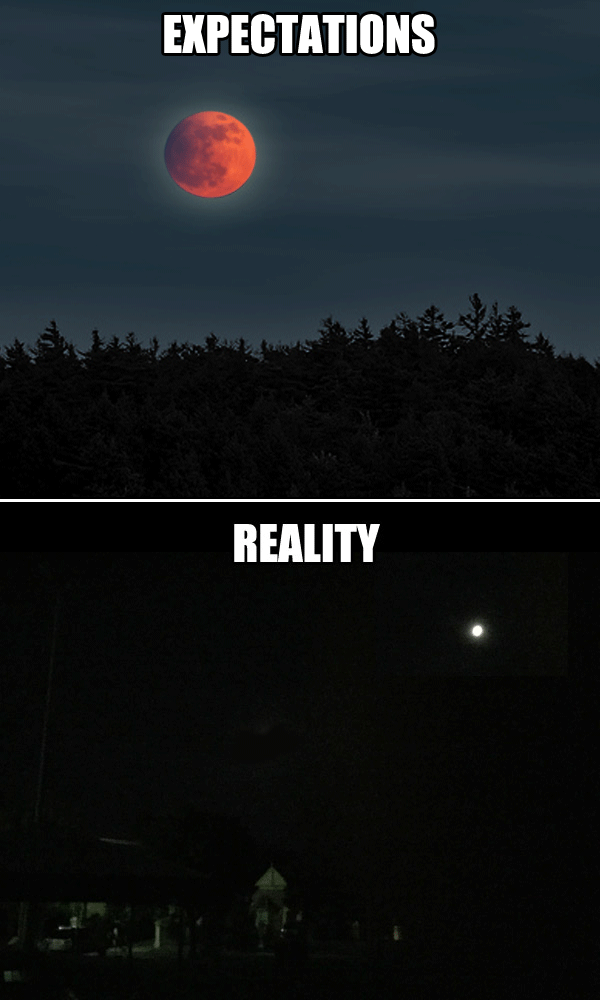 Why Expectations Can Never Match Up To Reality (44 pics)