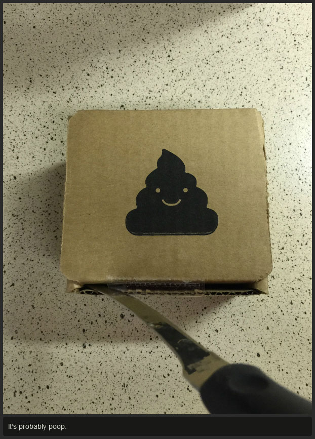 This Is A Pretty Crappy Gift (11 pics)