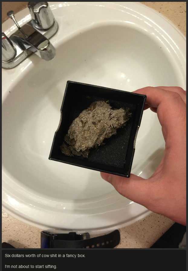 This Is A Pretty Crappy Gift (11 pics)