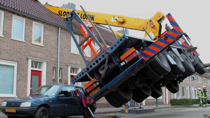 Marriage Proposal With A Crane Goes Wrong (4 pics)