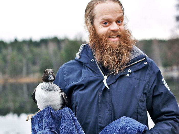 Norwegian Man Saves Duck From A Frozen Lake (4 pics)