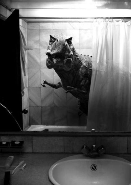 Weird Stuff Seen in Bathrooms (43 pics)