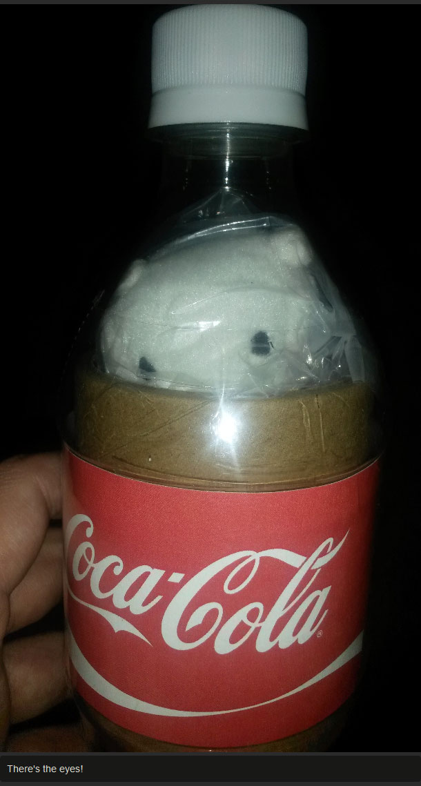 This Coke Comes With A Special Surprise (5 pics)