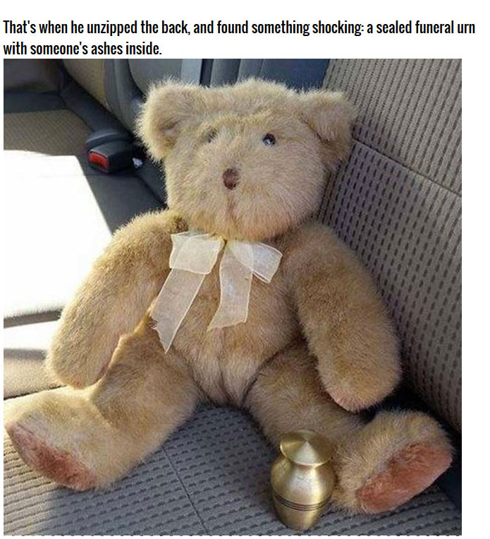Teen Finds Shocking Surprise In A Thrift Store Teddy Bear (4 pics)