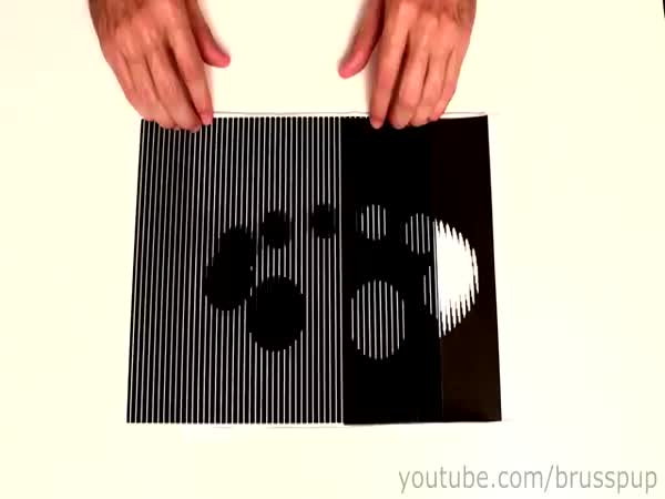 Amazing Animated Optical Illusions