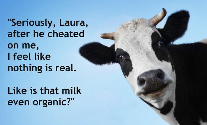 The Most Hipster Things Ever Said At Whole Foods (13 pics)