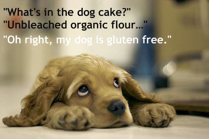 The Most Hipster Things Ever Said At Whole Foods (13 pics)