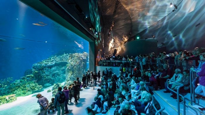 Kastrup Has The Most Amazing Aquarium (18 pics)