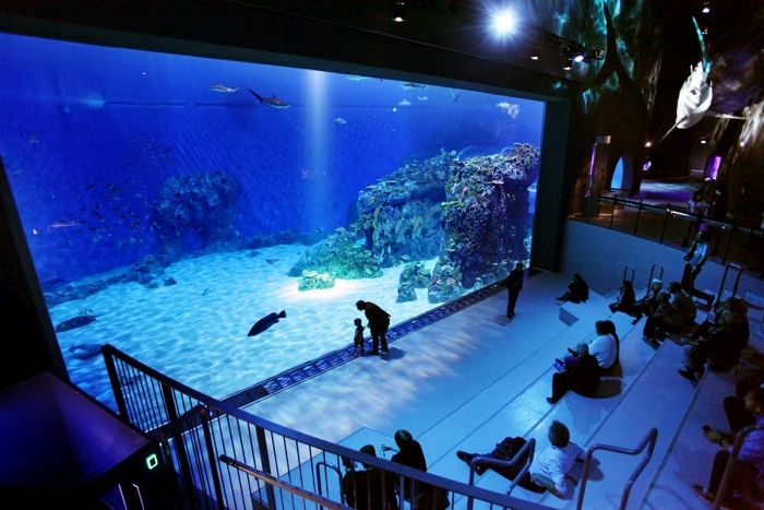 Kastrup Has The Most Amazing Aquarium (18 pics)