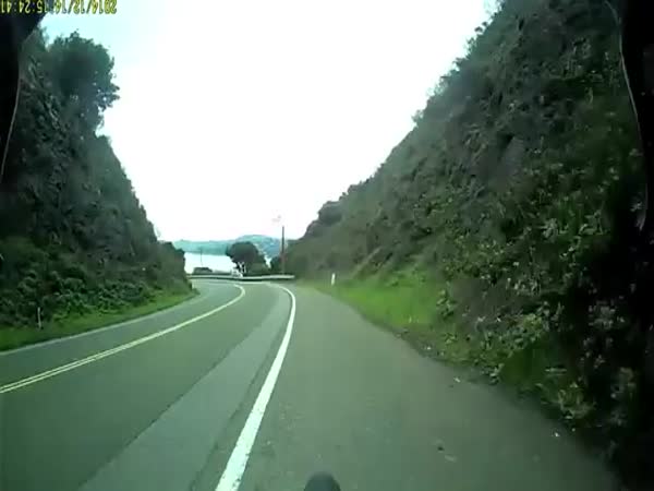 Hitting A Deer At 30 MPH (48 km/h) On A Bike