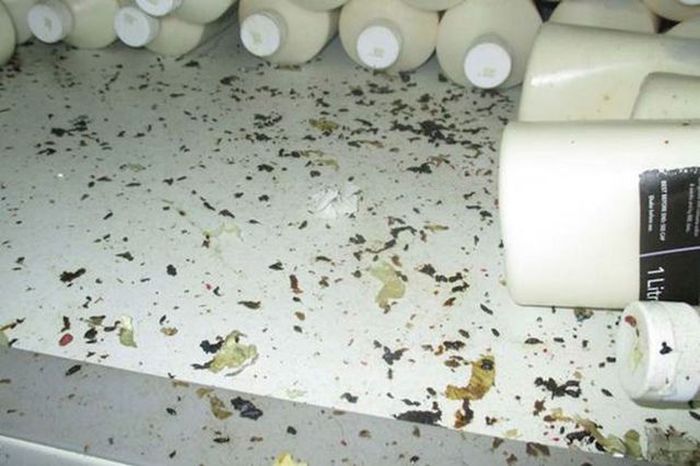 The Grossest Takeout Food Restaurant Of All Time (6 pics)