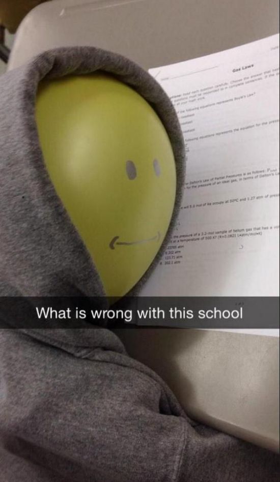 Balloons Can't Go To School (4 pics)
