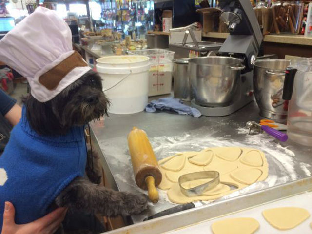 Work Fails & Job LOLs. Part 34 (40 pics)